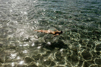 The Mermaid