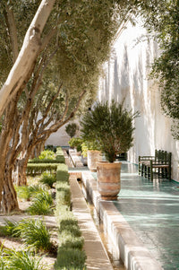 Tranquil Courtyard I