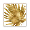 Tropical Gold Palm IV