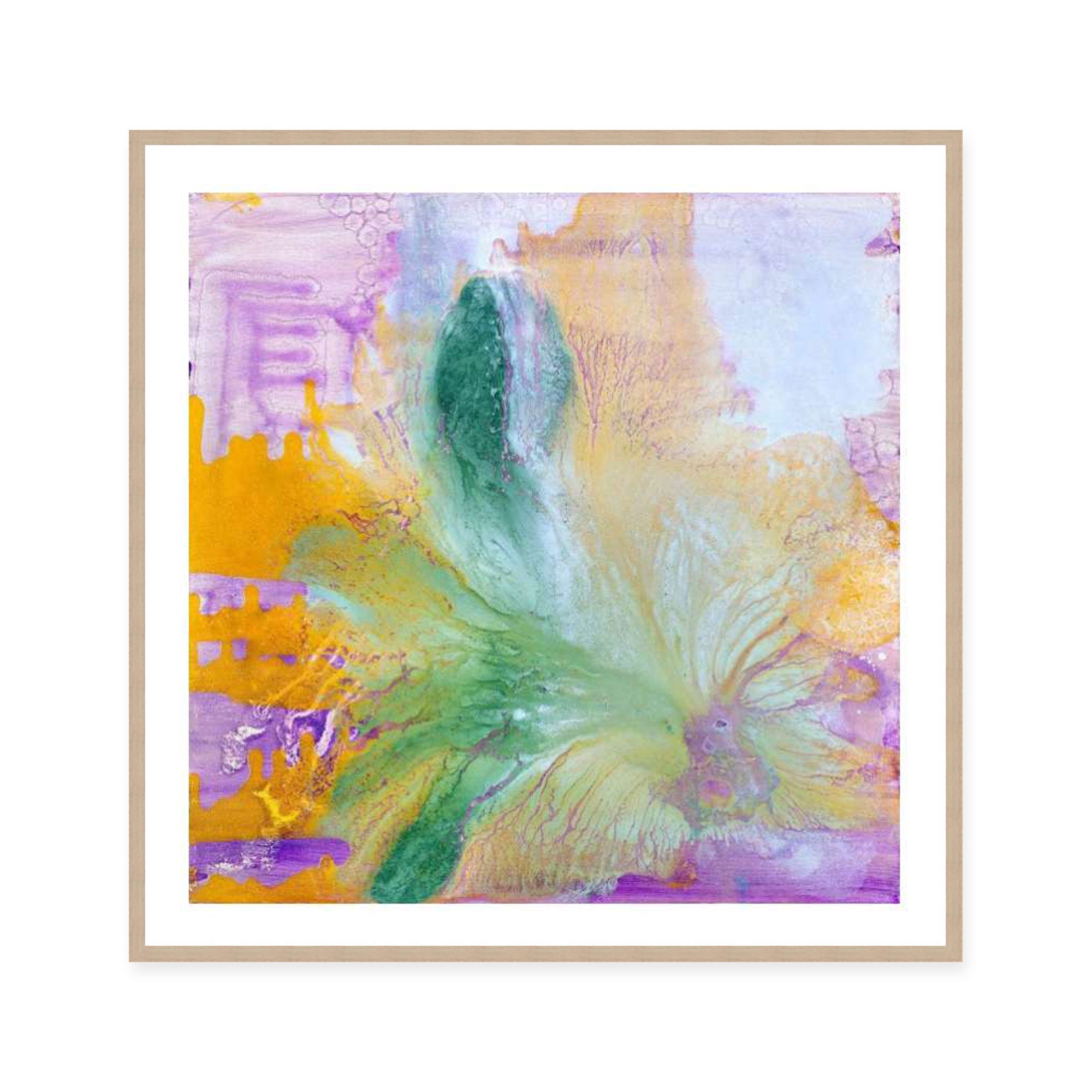 Tropical Leaves