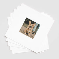 Vignette Gallery Set - Print & Frame | Gallery Set of 6 | Square