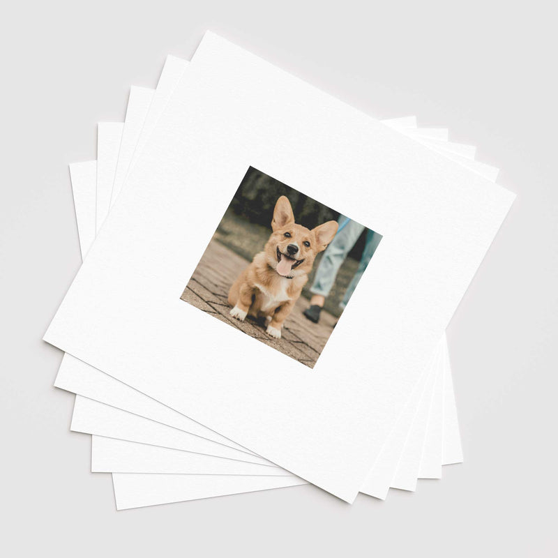 Vignette Gallery Set - Print & Frame | Gallery Set of 6 | Square