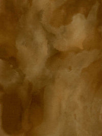 Vintage Sepia Ink