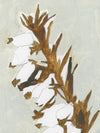 Naïve Floral Silhouette I