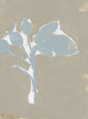 Floral Silhouette II