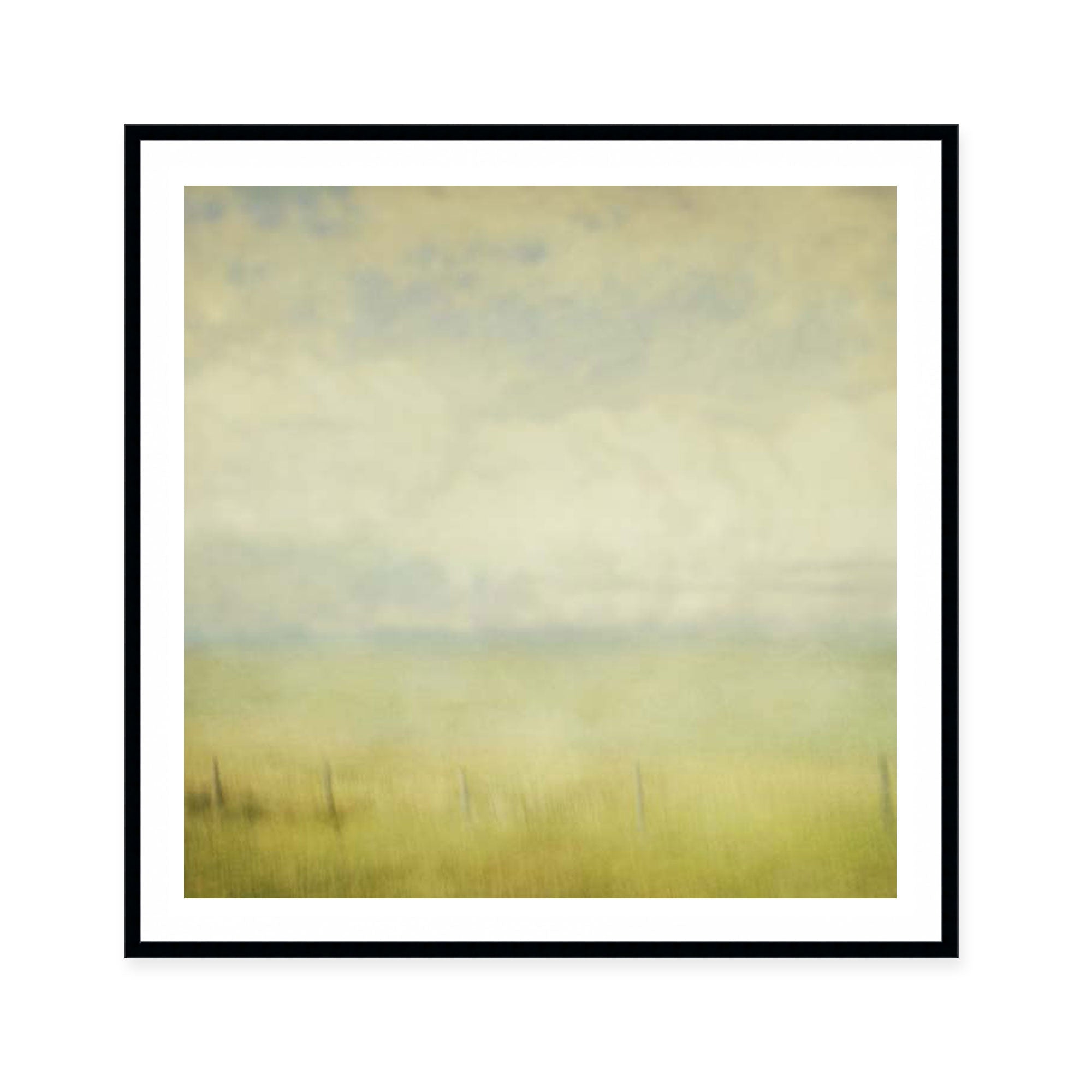 Waning Summer