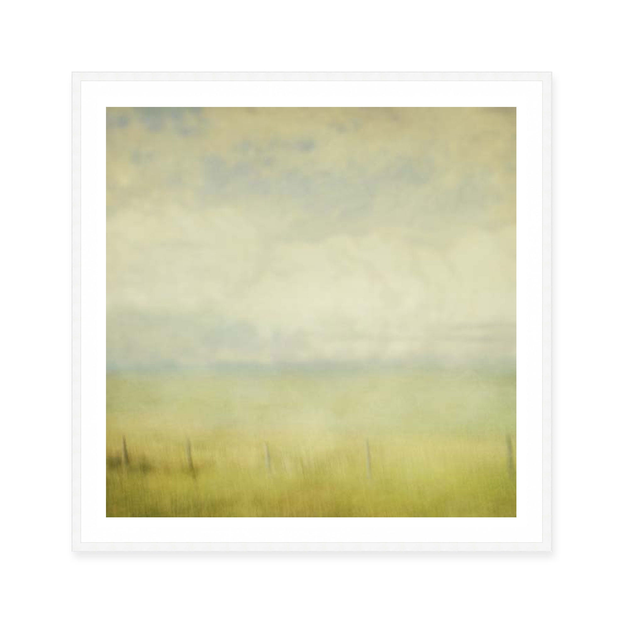 Waning Summer