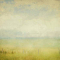 Waning Summer