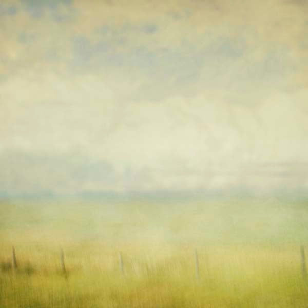 Waning Summer