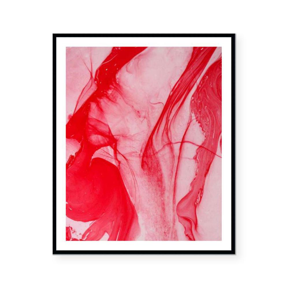 Waratah | Limited Edition Art Print | David Bottrell