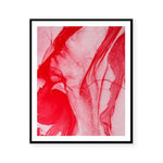 Waratah | Limited Edition Art Print | David Bottrell