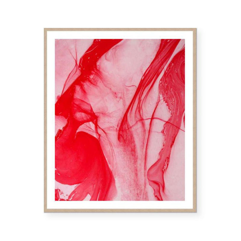 Waratah | Limited Edition Art Print | David Bottrell