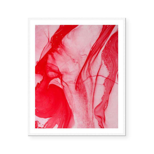 Waratah | Limited Edition Art Print | David Bottrell