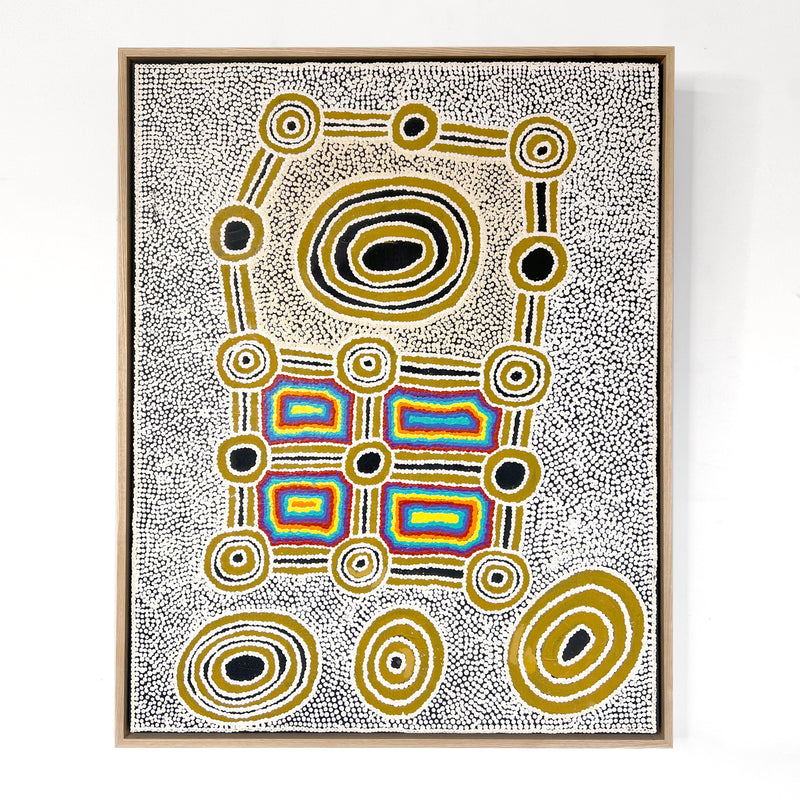 Janganpa Jukurrpa (Brush-tail  Possum Dreaming) Mawurrji No.4 | Original Artwork