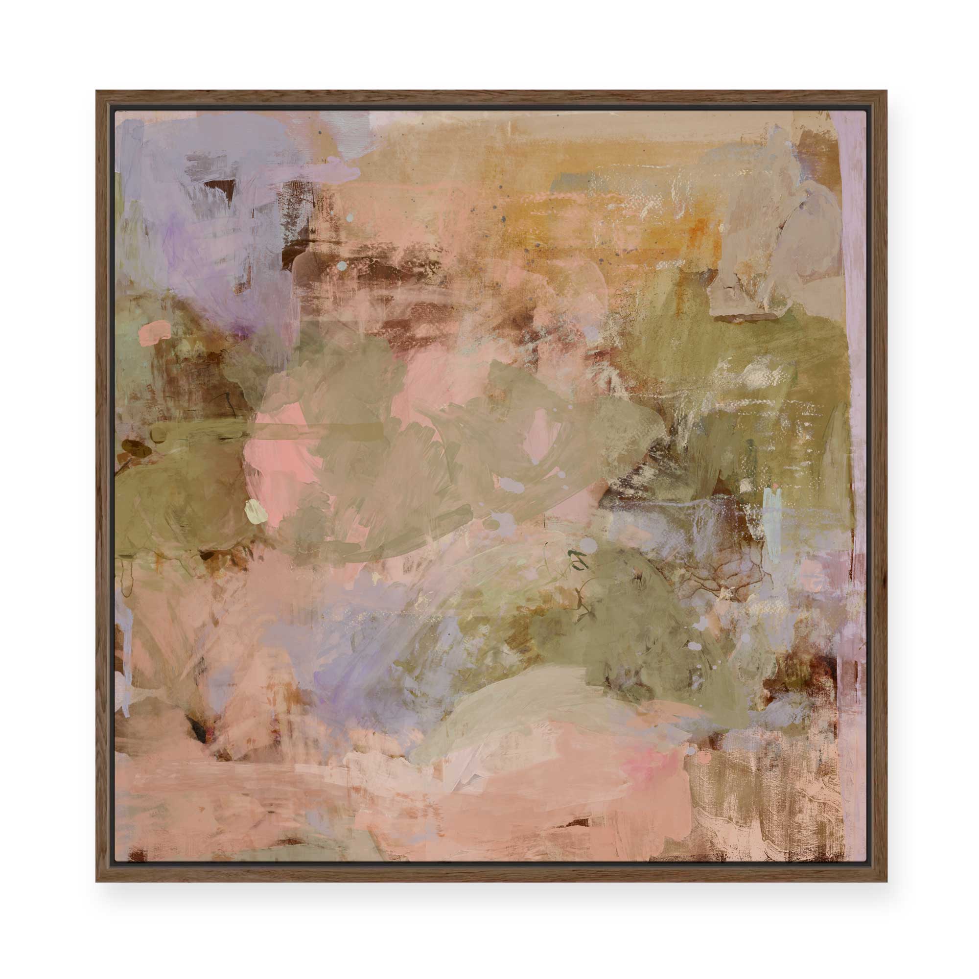 Wattle Bloom | Framed Canvas