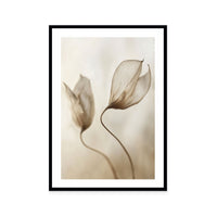 Whispering Petal Pair