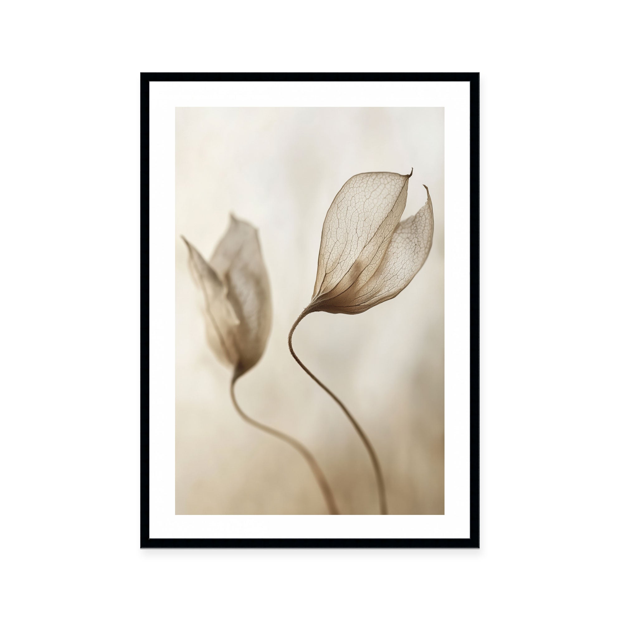 Whispering Petal Pair