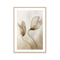 Whispering Petal Pair