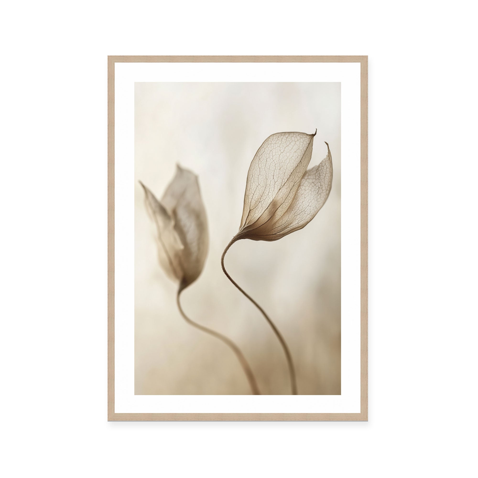 Whispering Petal Pair