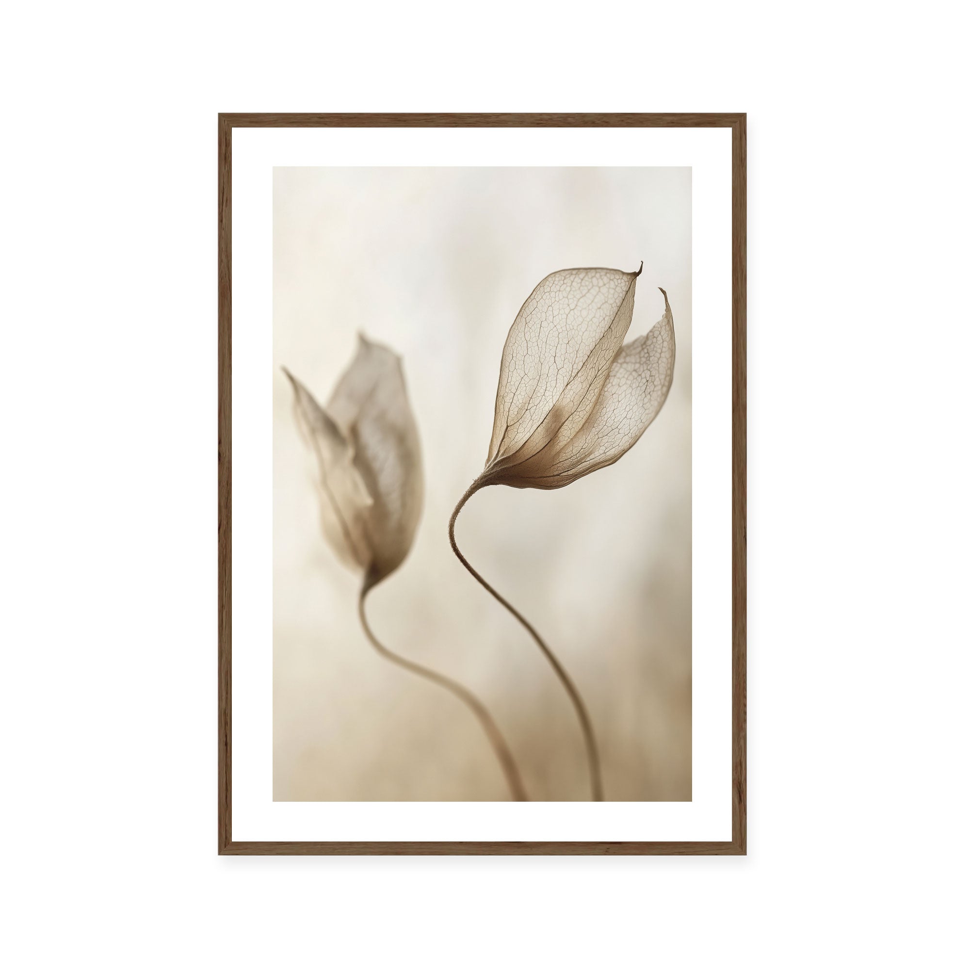 Whispering Petal Pair
