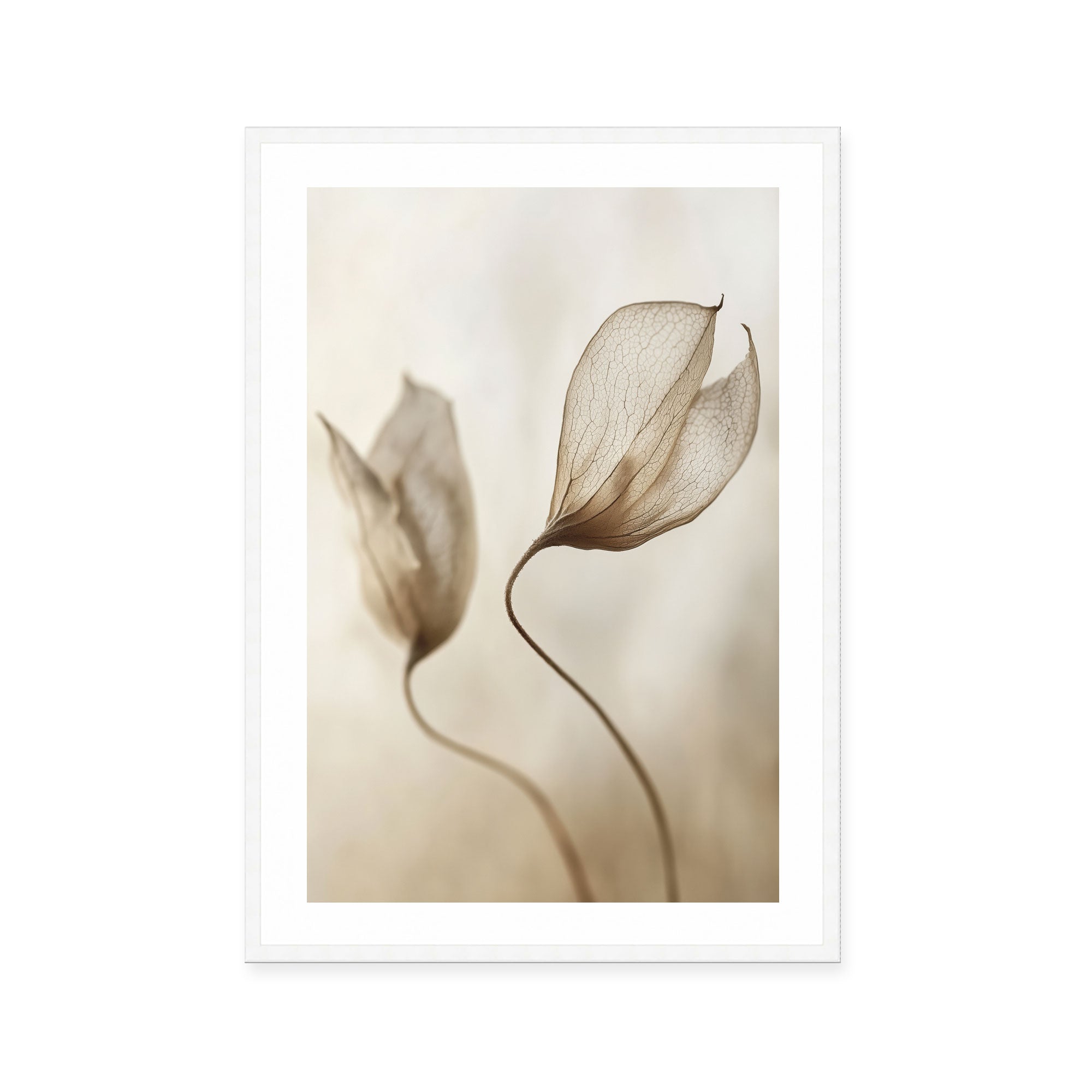 Whispering Petal Pair