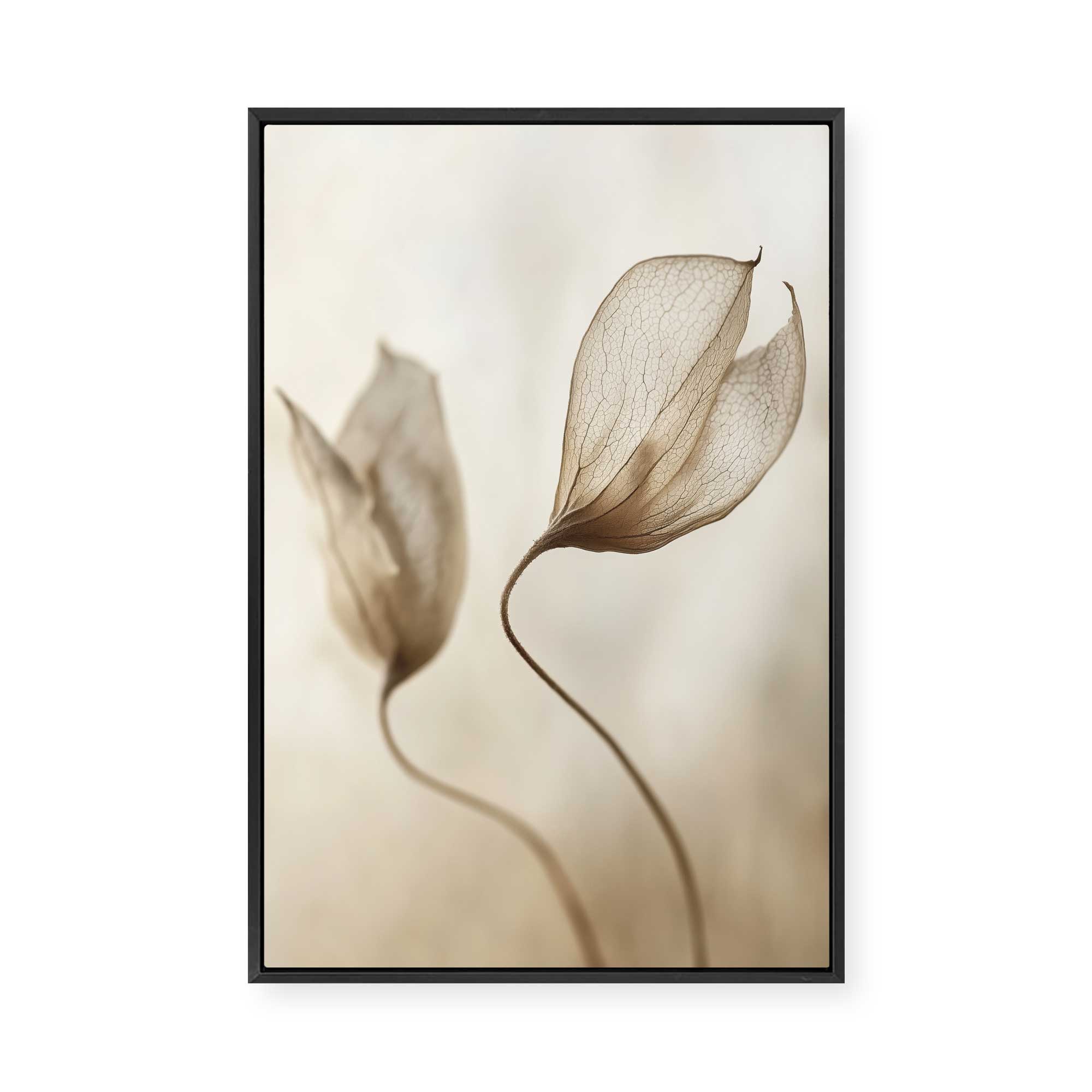 Whispering Petal Pair | Framed Canvas
