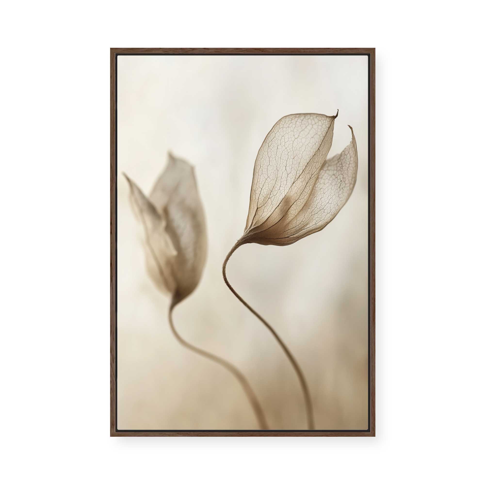 Whispering Petal Pair | Framed Canvas