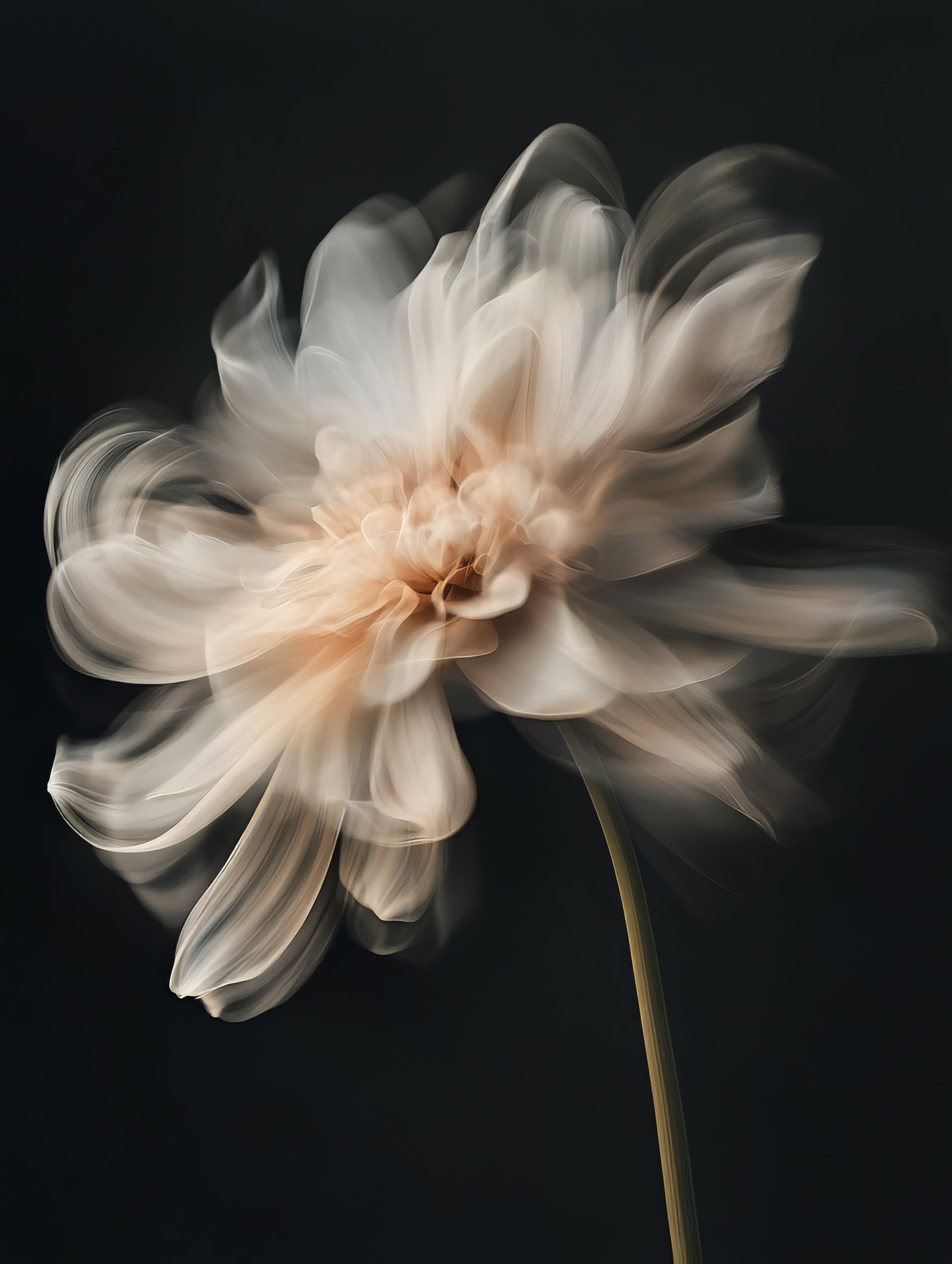 Whispering Petals II