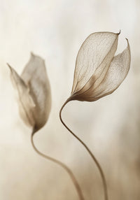 Whispering Petal Pair