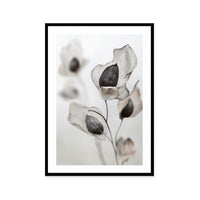 Whispering Petals