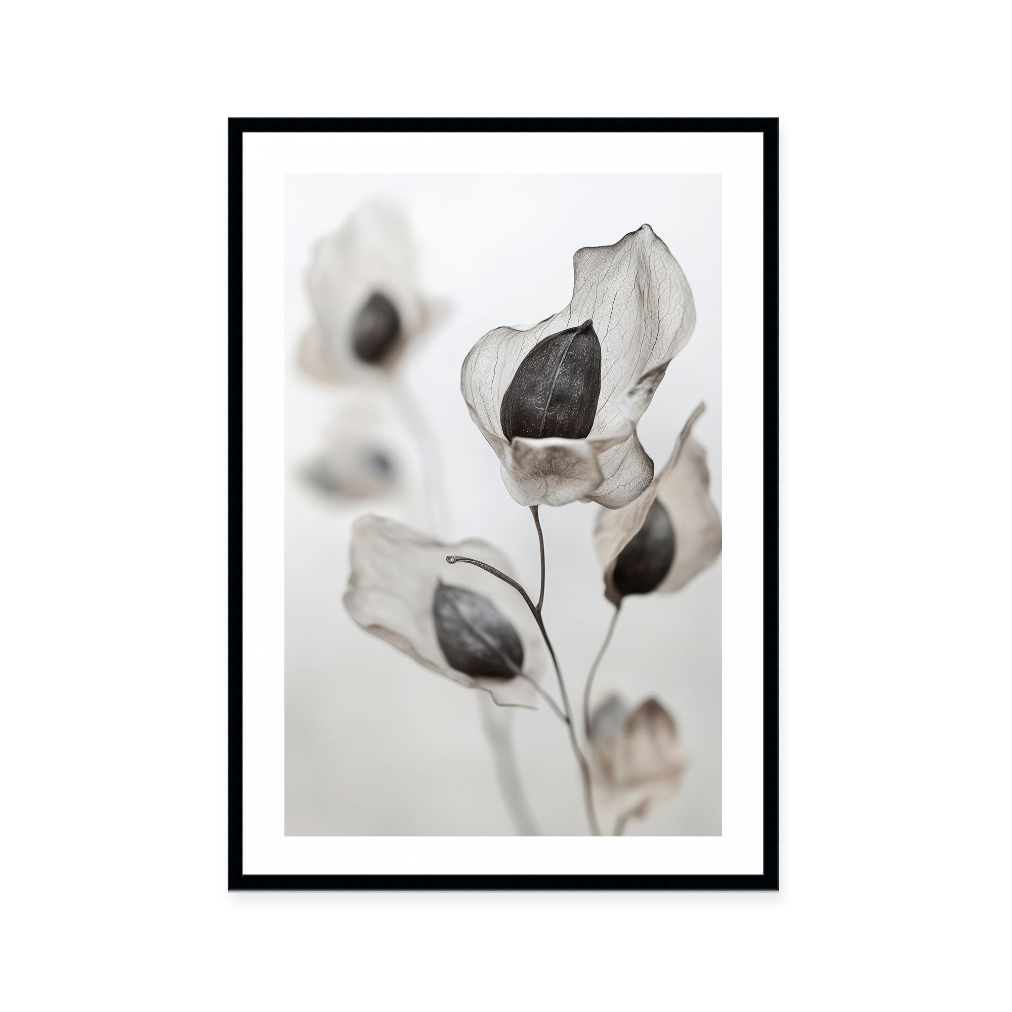 Whispering Petals