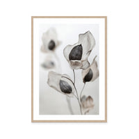 Whispering Petals