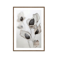 Whispering Petals
