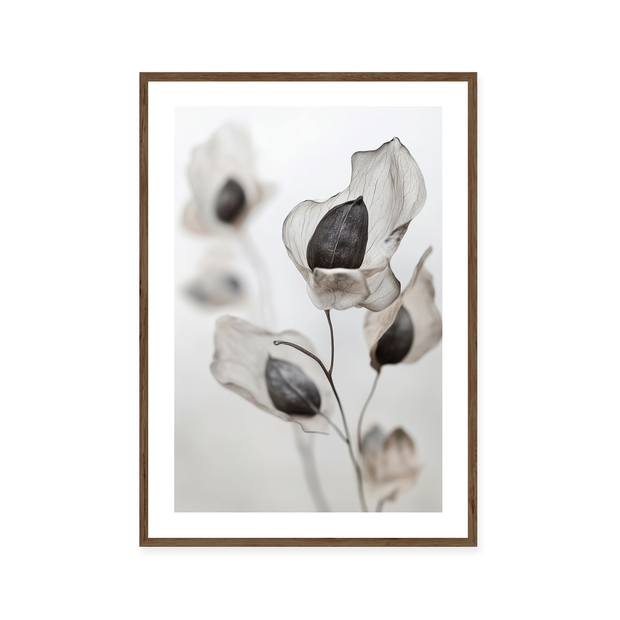 Whispering Petals