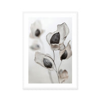 Whispering Petals