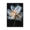 Whispering Petals I | Framed Canvas