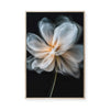 Whispering Petals I | Framed Canvas