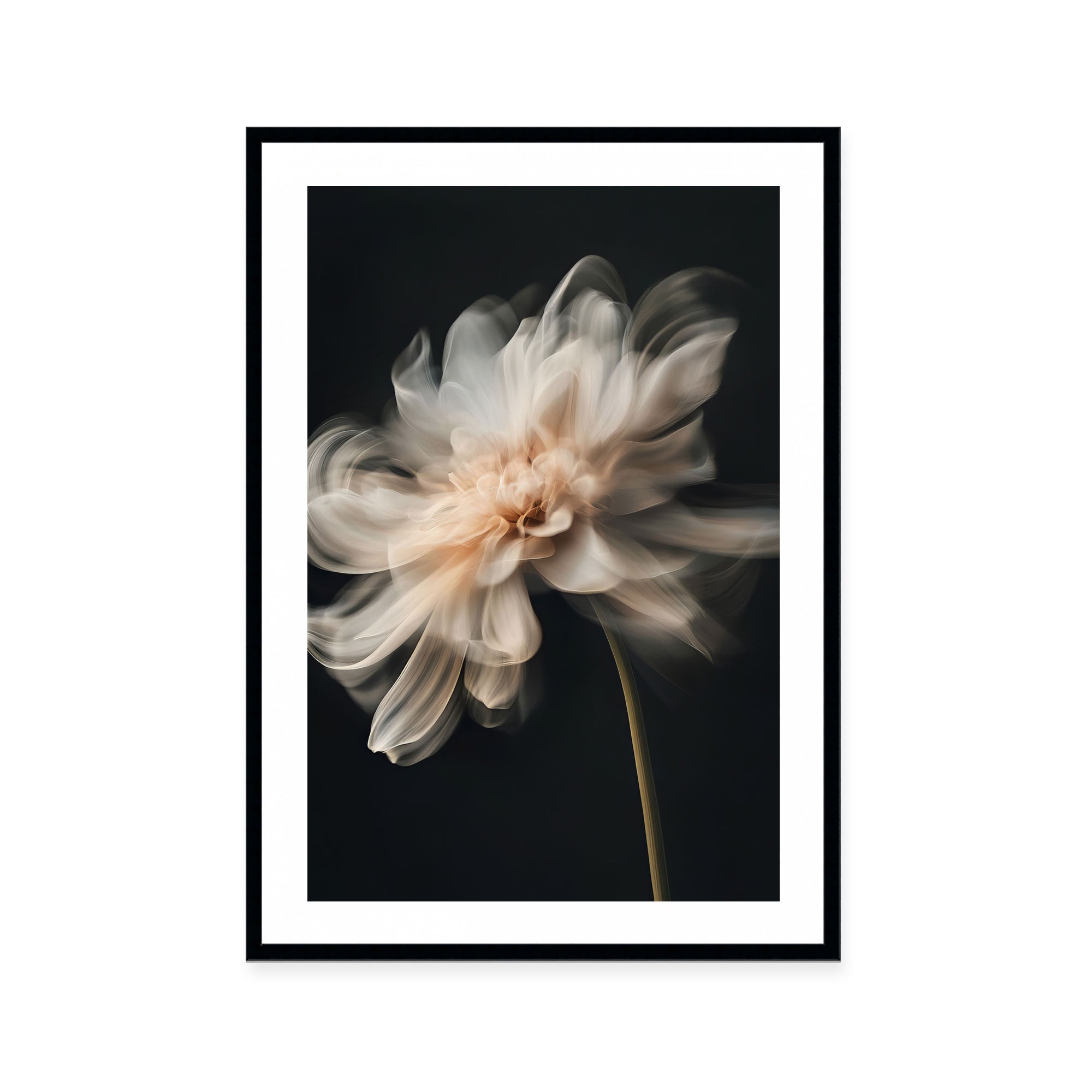 Whispering Petals II