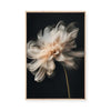 Whispering Petals II | Framed Canvas