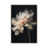 Whispering Petals II | Framed Canvas