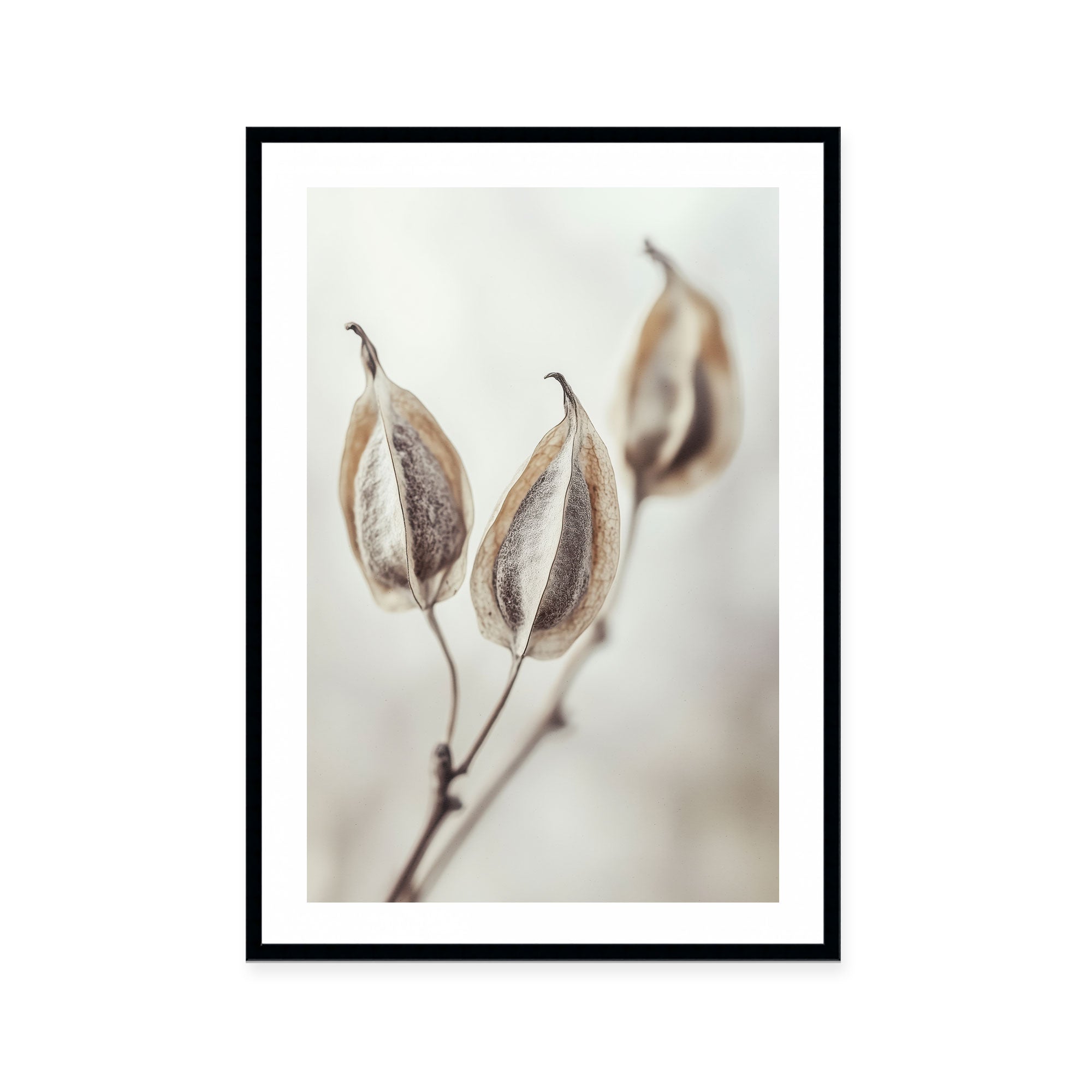 Whispering Pods