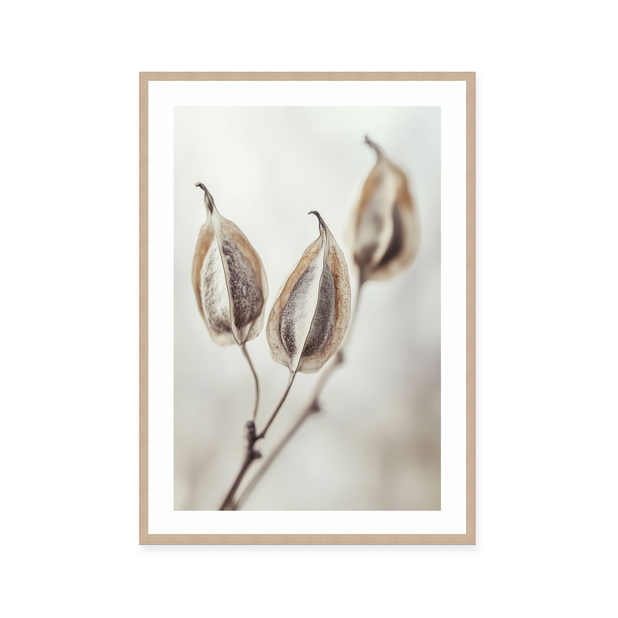 Whispering Pods