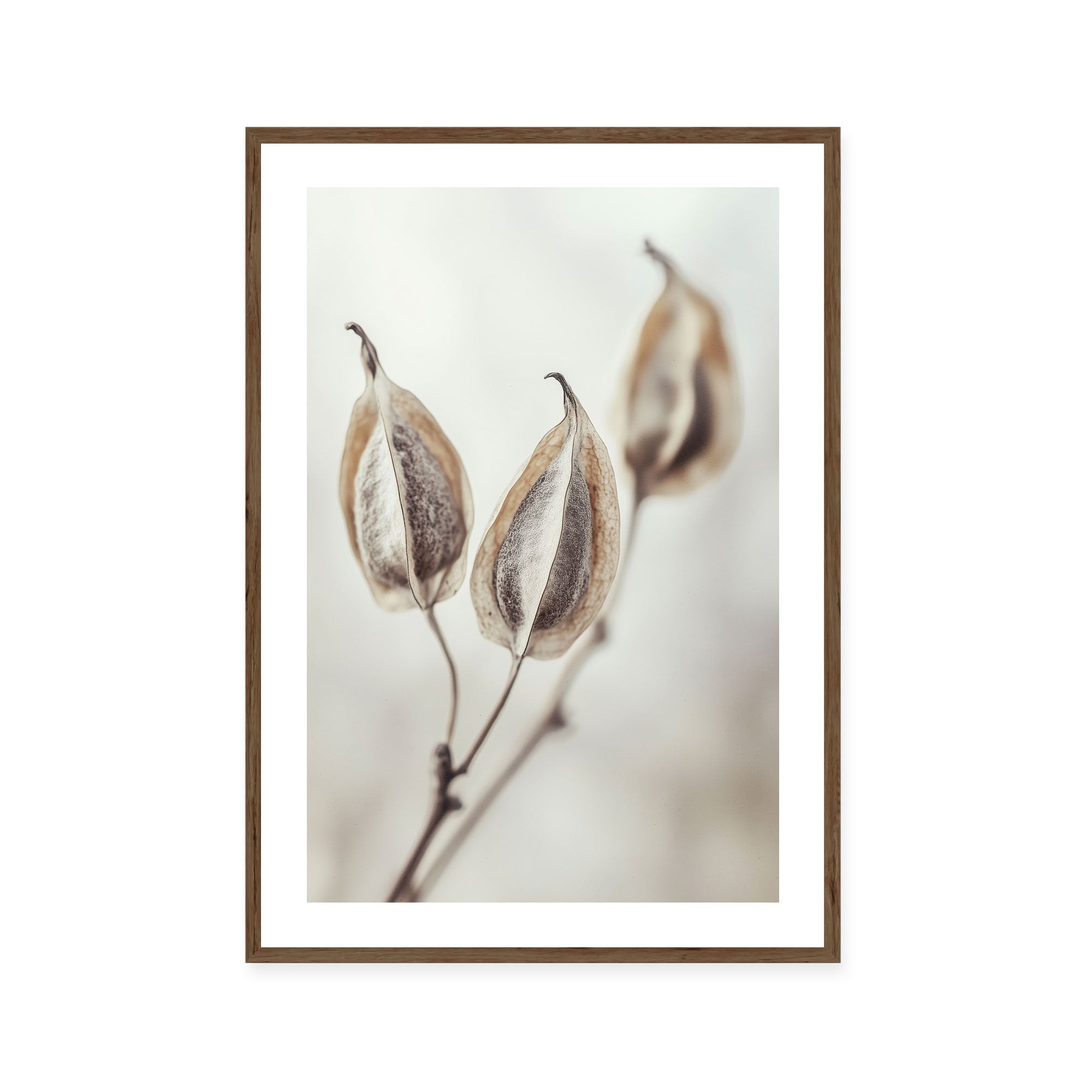 Whispering Pods