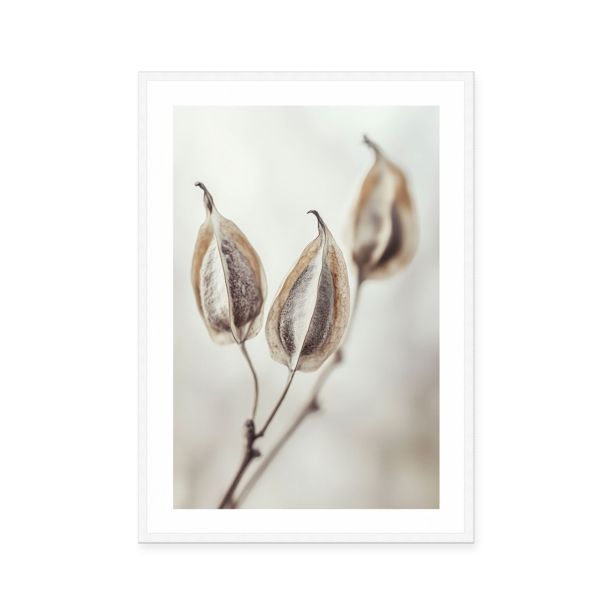 Whispering Pods