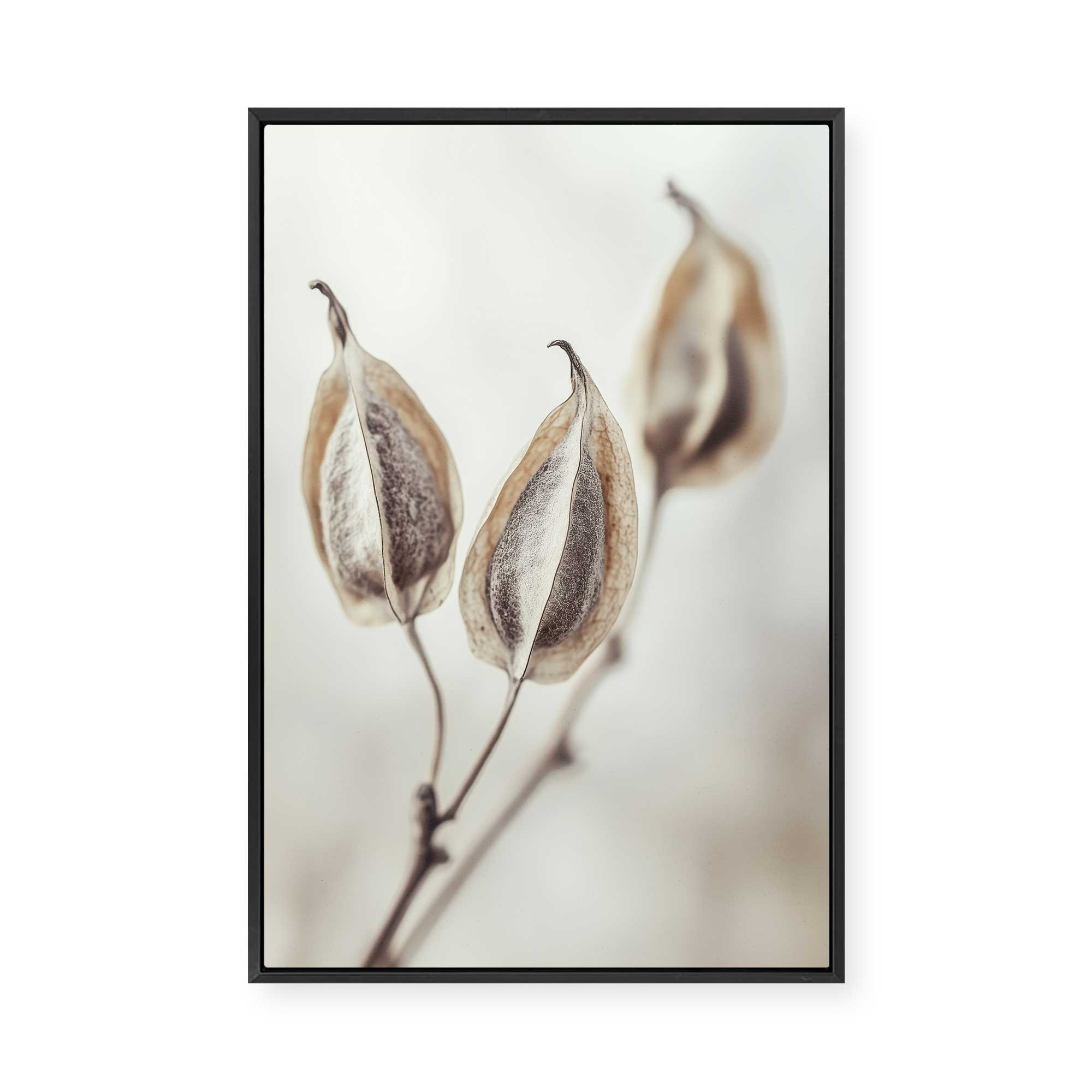 Whispering Pods | Framed Canvas