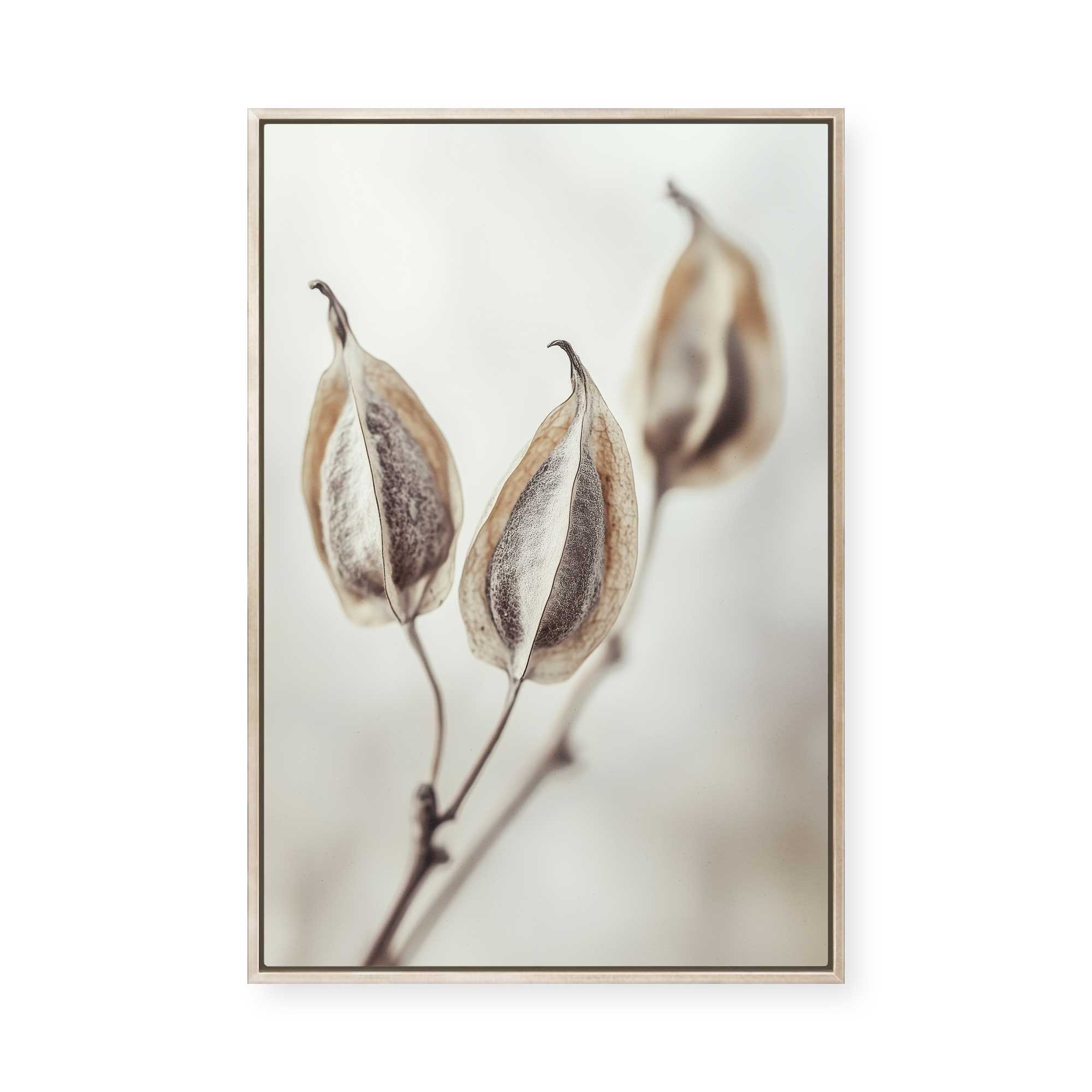 Whispering Pods | Framed Canvas