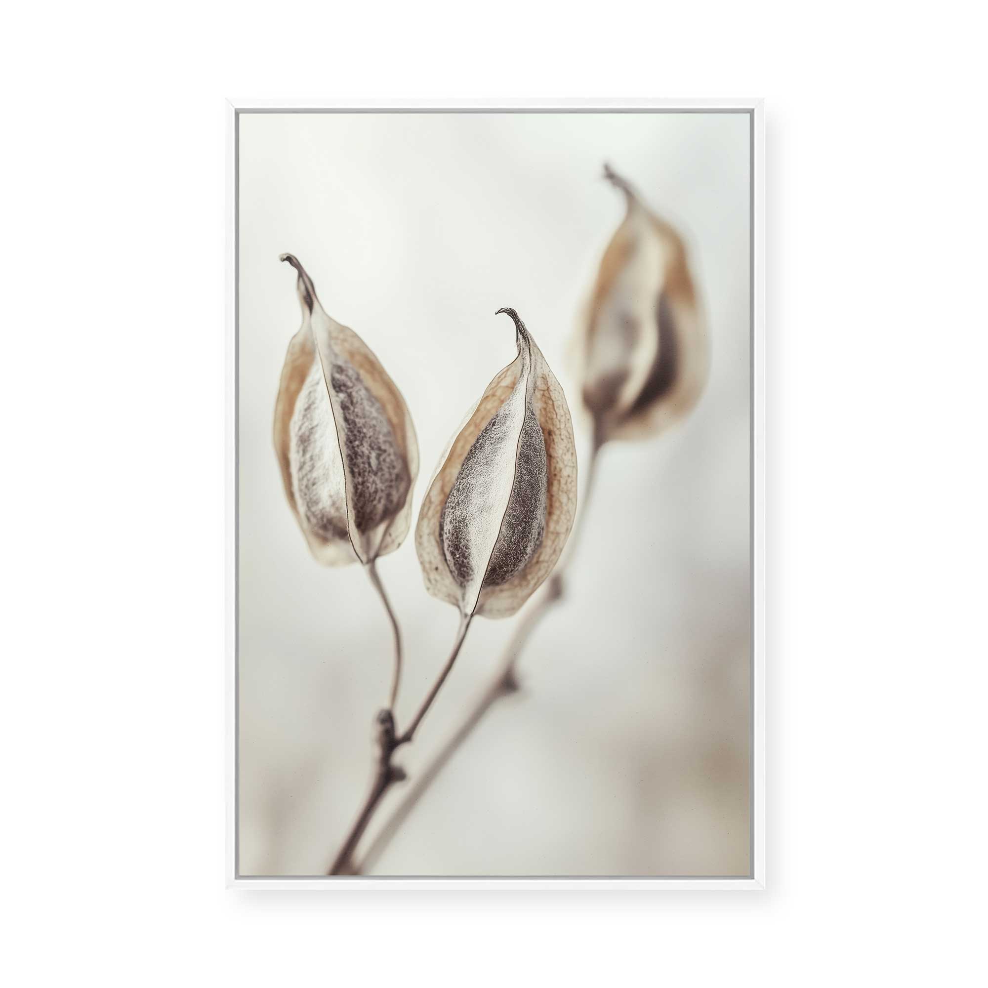 Whispering Pods | Framed Canvas