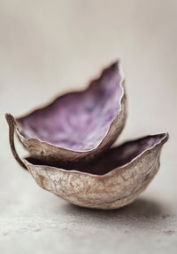 Whispering Shells