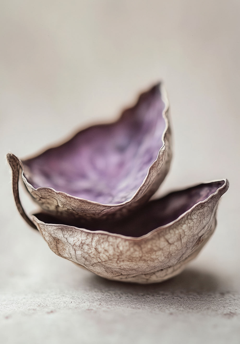 Whispering Shells
