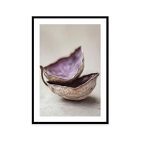 Whispering Shells